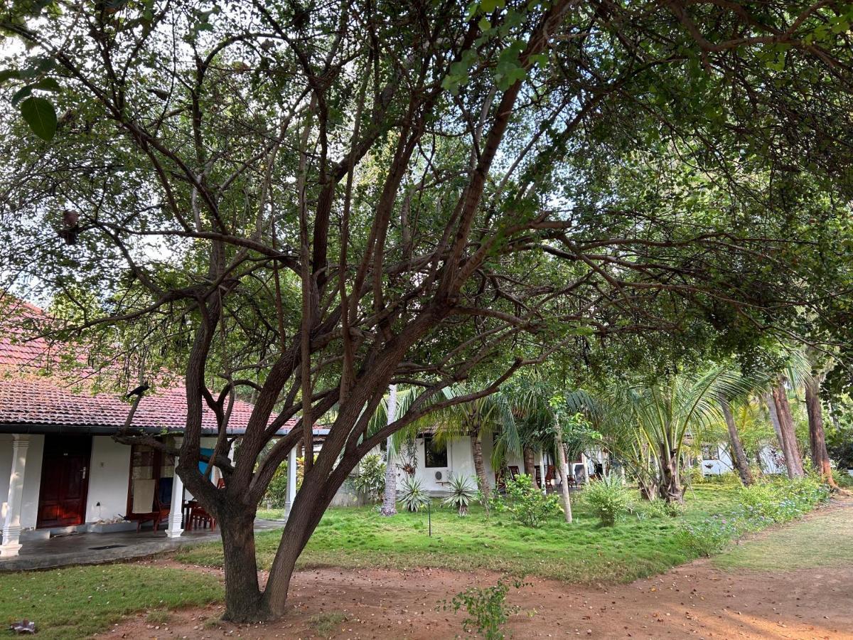108 Palms Beach Resort Trincomalee Luaran gambar